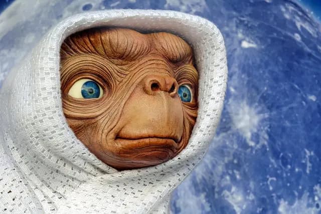 Optimiser son budget sport en France